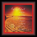 Dr.Abrar Umeir -Chand Khawab main lik 01 * 22.03.2008 * 433 x 387 * (41KB)